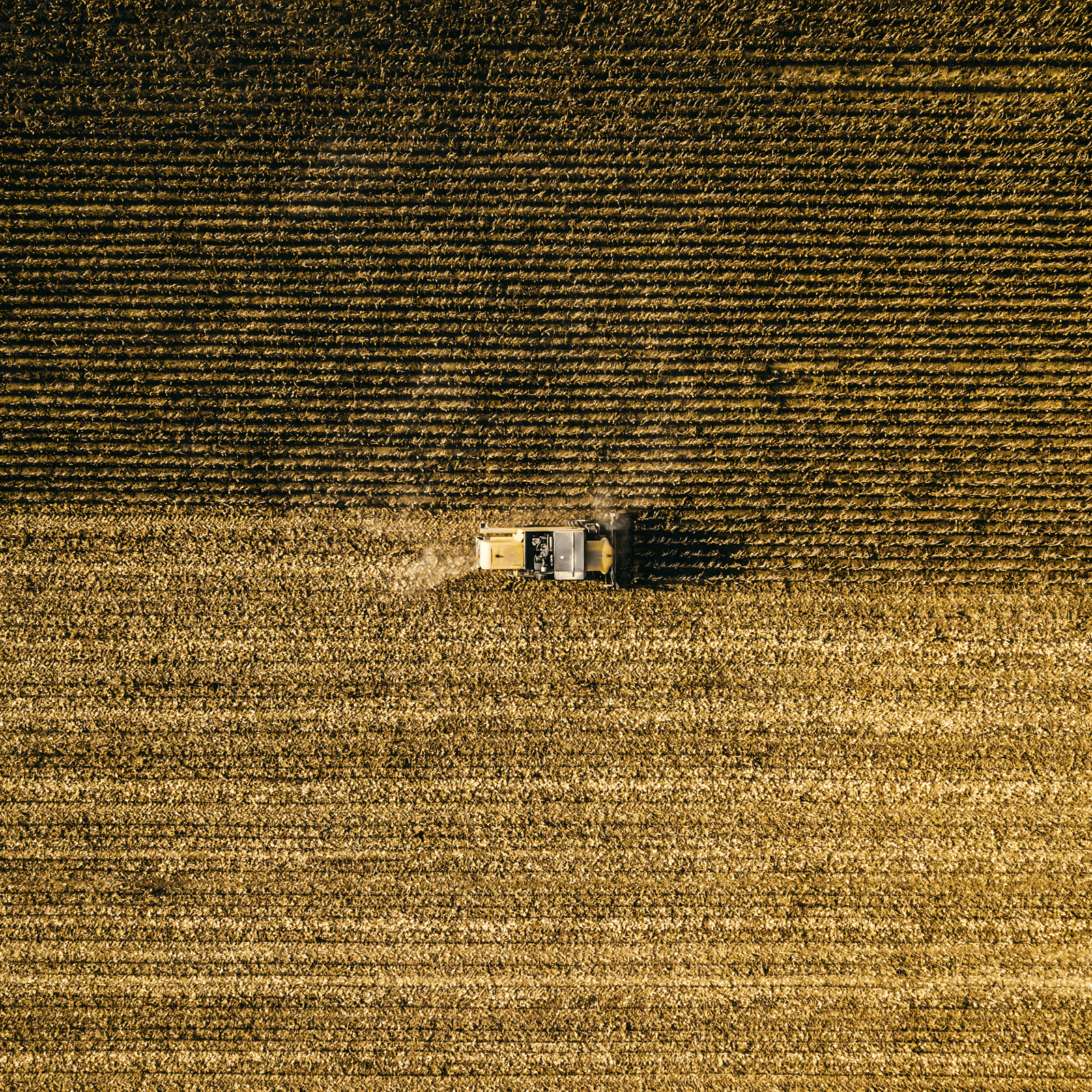 Agronegócio e Alimentício